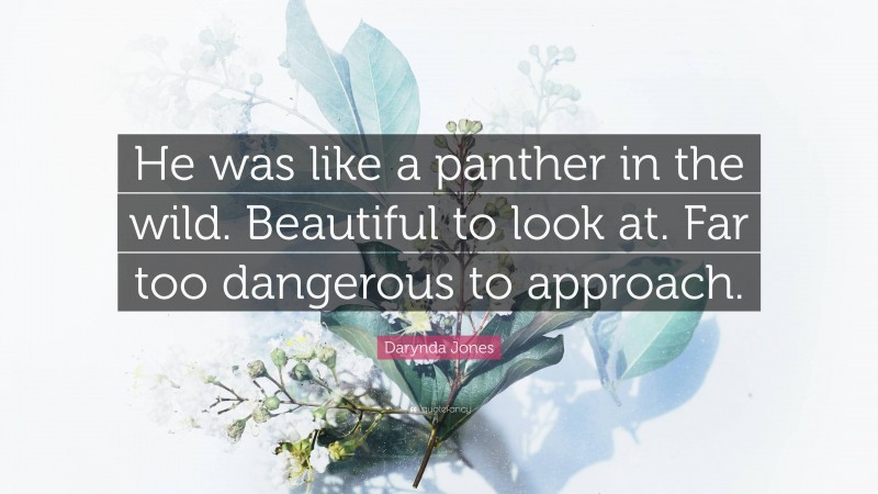 Darynda Jones Quote: “He was like a panther in the wild. Beautiful to look at. Far too dangerous to approach.”