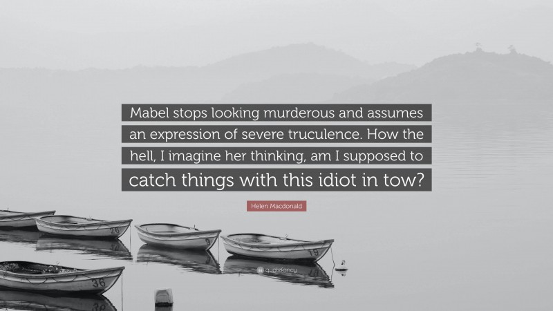 Helen Macdonald Quote: “Mabel stops looking murderous and assumes an expression of severe truculence. How the hell, I imagine her thinking, am I supposed to catch things with this idiot in tow?”