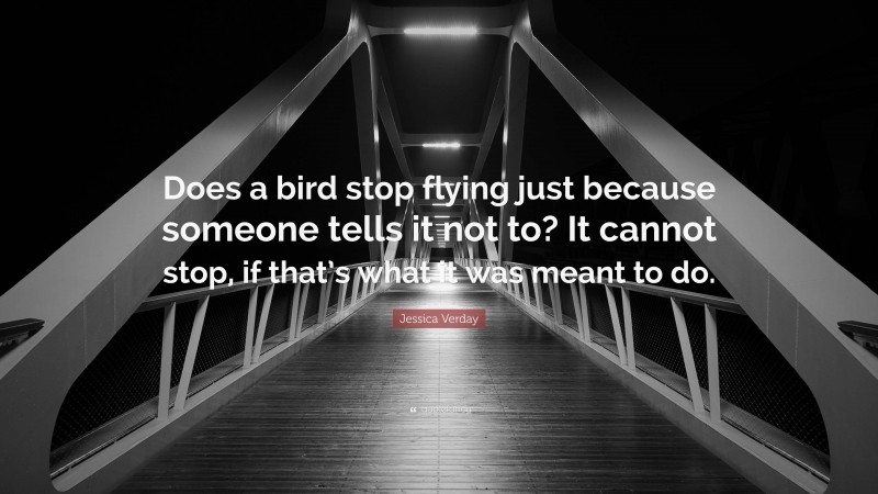 Jessica Verday Quote: “Does a bird stop flying just because someone tells it not to? It cannot stop, if that’s what it was meant to do.”