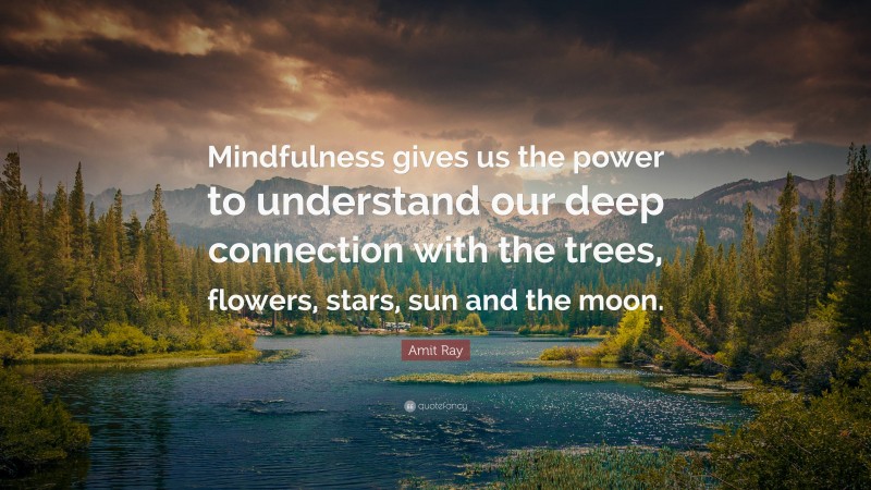 Amit Ray Quote: “Mindfulness gives us the power to understand our deep connection with the trees, flowers, stars, sun and the moon.”