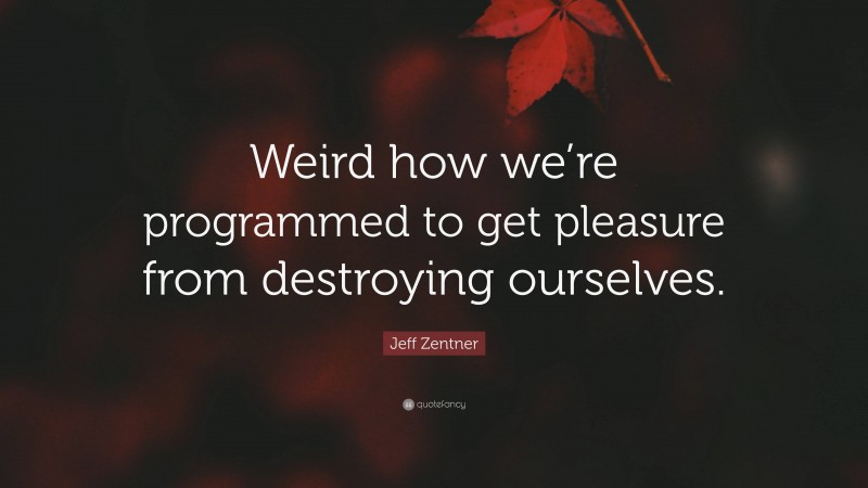 Jeff Zentner Quote: “Weird how we’re programmed to get pleasure from destroying ourselves.”