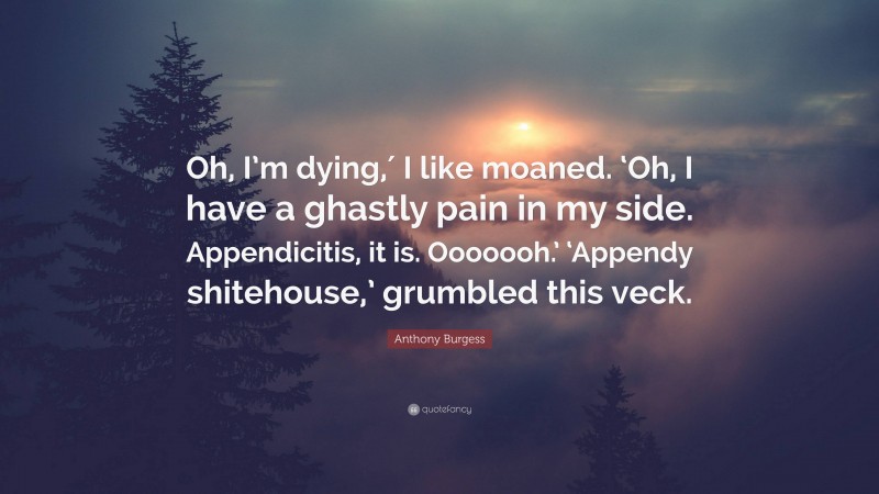 Anthony Burgess Quote: “Oh, I’m dying,′ I like moaned. ‘Oh, I have a ghastly pain in my side. Appendicitis, it is. Ooooooh.’ ‘Appendy shitehouse,’ grumbled this veck.”