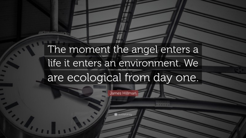 James Hillman Quote: “The moment the angel enters a life it enters an environment. We are ecological from day one.”