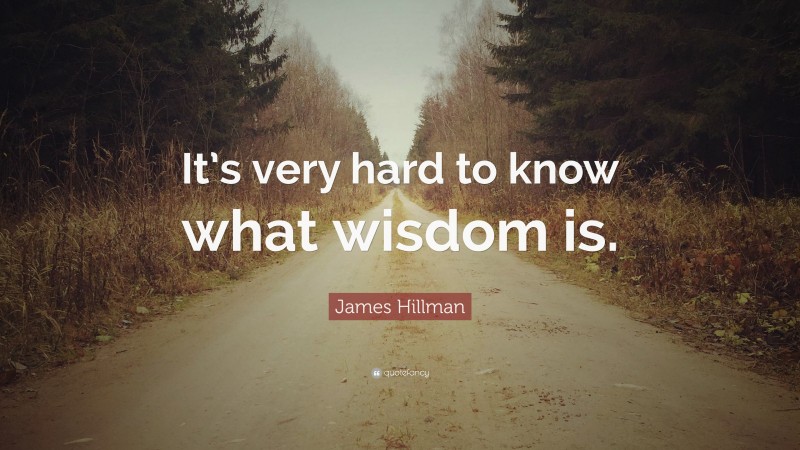 James Hillman Quote: “It’s very hard to know what wisdom is.”