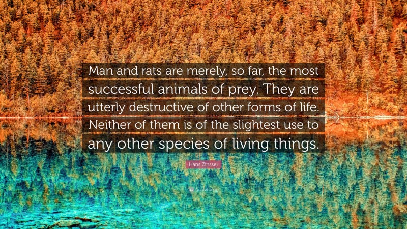 Hans Zinsser Quote: “Man and rats are merely, so far, the most successful animals of prey. They are utterly destructive of other forms of life. Neither of them is of the slightest use to any other species of living things.”