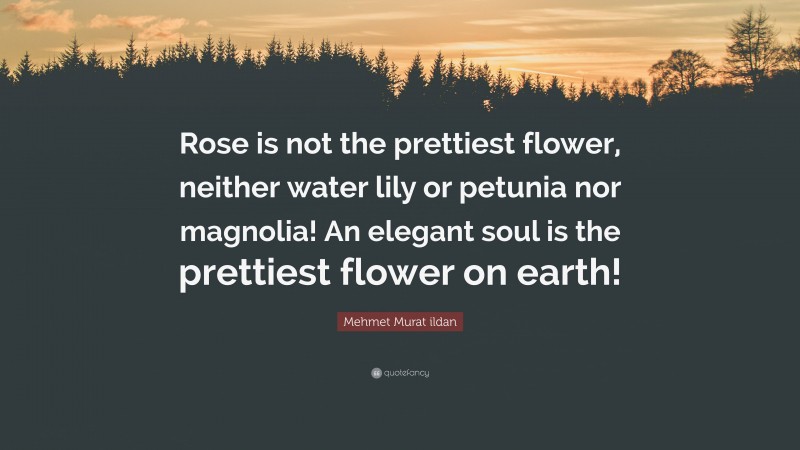 Mehmet Murat ildan Quote: “Rose is not the prettiest flower, neither water lily or petunia nor magnolia! An elegant soul is the prettiest flower on earth!”