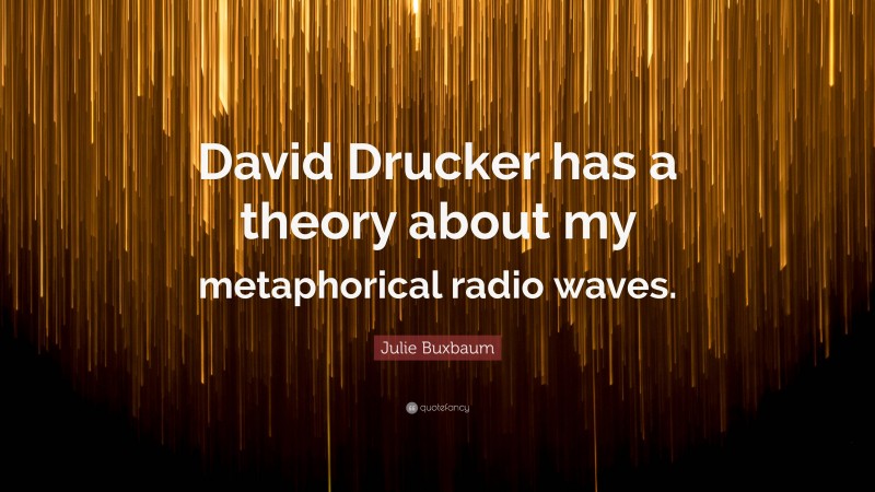 Julie Buxbaum Quote: “David Drucker has a theory about my metaphorical radio waves.”