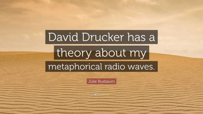 Julie Buxbaum Quote: “David Drucker has a theory about my metaphorical radio waves.”