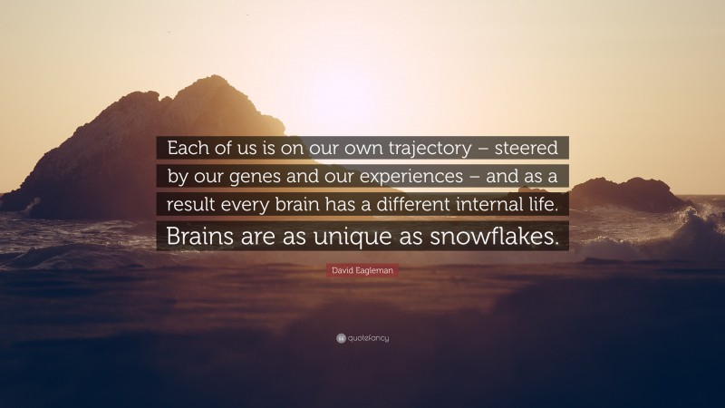 David Eagleman Quote: “Each of us is on our own trajectory – steered by our genes and our experiences – and as a result every brain has a different internal life. Brains are as unique as snowflakes.”