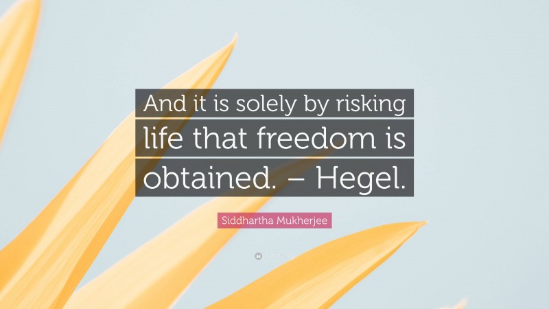 Siddhartha Mukherjee Quote: “And it is solely by risking life that freedom is obtained. – Hegel.”