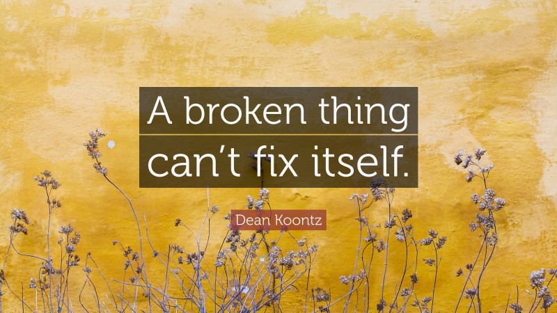 Dean Koontz Quote: “A broken thing can’t fix itself.”