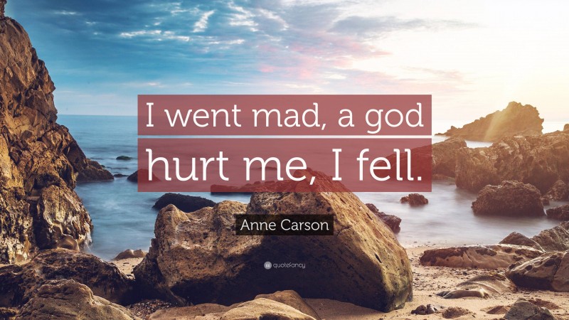 Anne Carson Quote: “I went mad, a god hurt me, I fell.”