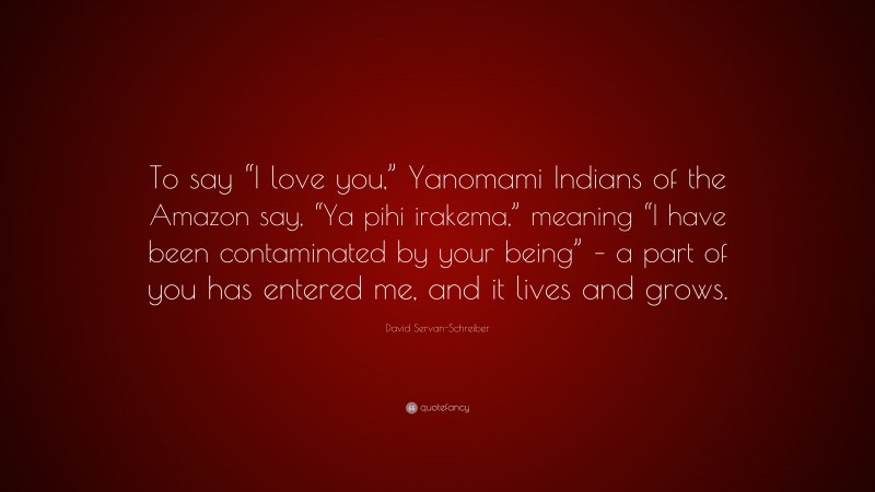 David Servan-Schreiber Quote: “To say “I love you,” Yanomami Indians of the Amazon say, “Ya pihi irakema,” meaning “I have been contaminated by your being” – a part of you has entered me, and it lives and grows.”