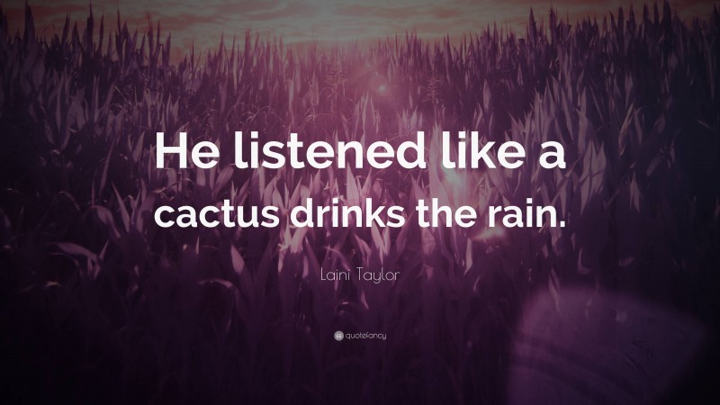 Laini Taylor Quote: “He listened like a cactus drinks the rain.”
