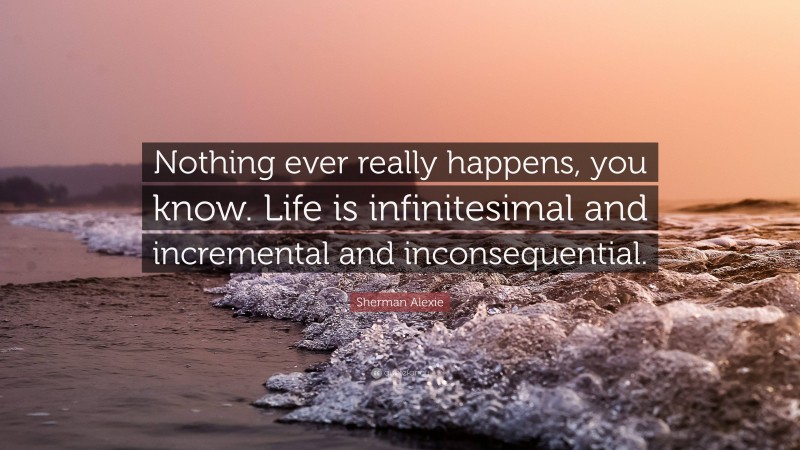 Sherman Alexie Quote: “Nothing ever really happens, you know. Life is infinitesimal and incremental and inconsequential.”