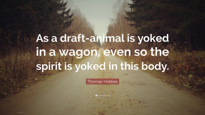 Thomas Hobbes Quote: “As a draft-animal is yoked in a wagon, even so the spirit is yoked in this body.”