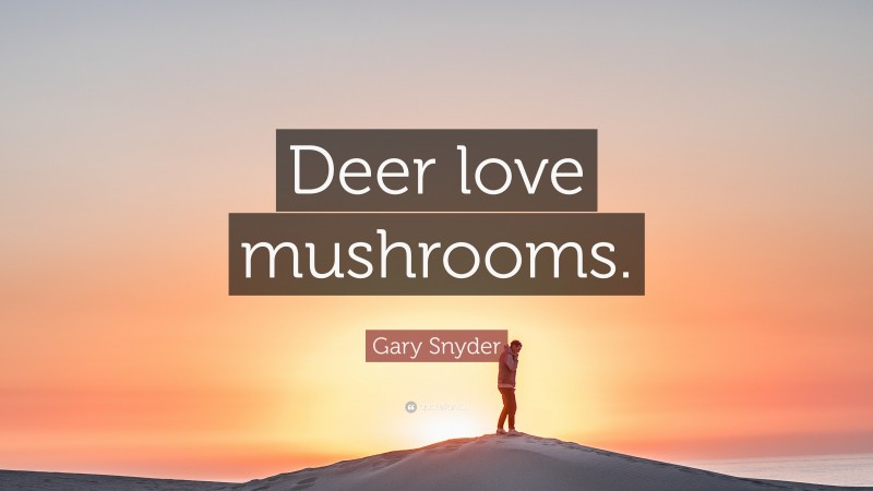 Gary Snyder Quote: “Deer love mushrooms.”