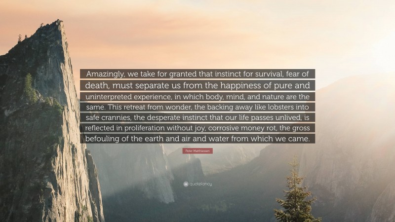 Peter Matthiessen Quote: “Amazingly, we take for granted that instinct for survival, fear of death, must separate us from the happiness of pure and uninterpreted experience, in which body, mind, and nature are the same. This retreat from wonder, the backing away like lobsters into safe crannies, the desperate instinct that our life passes unlived, is reflected in proliferation without joy, corrosive money rot, the gross befouling of the earth and air and water from which we came.”