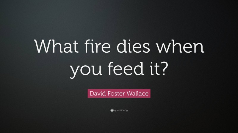 David Foster Wallace Quote: “What fire dies when you feed it?”