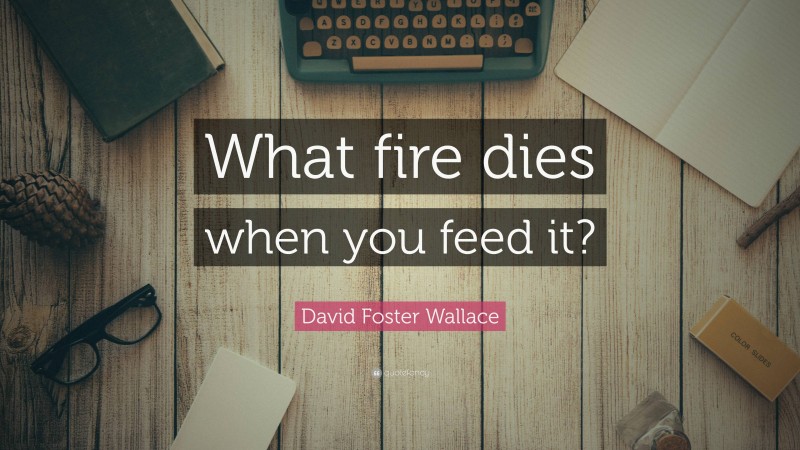 David Foster Wallace Quote: “What fire dies when you feed it?”