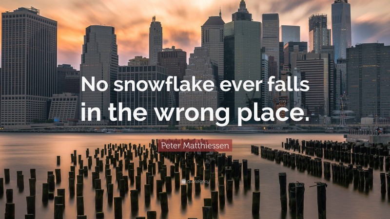 Peter Matthiessen Quote: “No snowflake ever falls in the wrong place.”