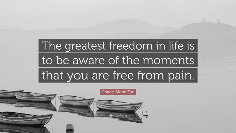Chade-Meng Tan Quote: “The greatest freedom in life is to be aware of the moments that you are free from pain.”