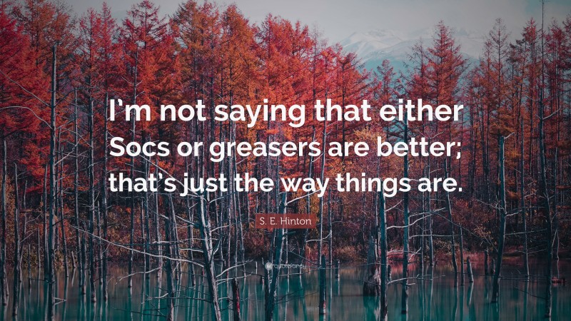 S. E. Hinton Quote: “I’m not saying that either Socs or greasers are better; that’s just the way things are.”
