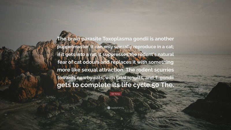 Ed Yong Quote: “The brain parasite Toxoplasma gondii is another puppetmaster. It can only sexually reproduce in a cat; if it gets into a rat, it suppresses the rodent’s natural fear of cat odours and replaces it with something more like sexual attraction. The rodent scurries towards nearby cats, with fatal results, and T. gondii gets to complete its life cycle.50 The.”