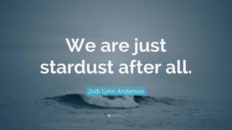 Jodi Lynn Anderson Quote: “We are just stardust after all.”