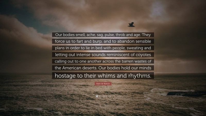 Alain de Botton Quote: “Our bodies smell, ache, sag, pulse, throb and age. They force us to fart and burp, and to abandon sensible plans in order to lie in bed with people, sweating and letting out intense sounds reminiscent of coyotes calling out to one another across the barren wastes of the American deserts. Our bodies hold our minds hostage to their whims and rhythms.”