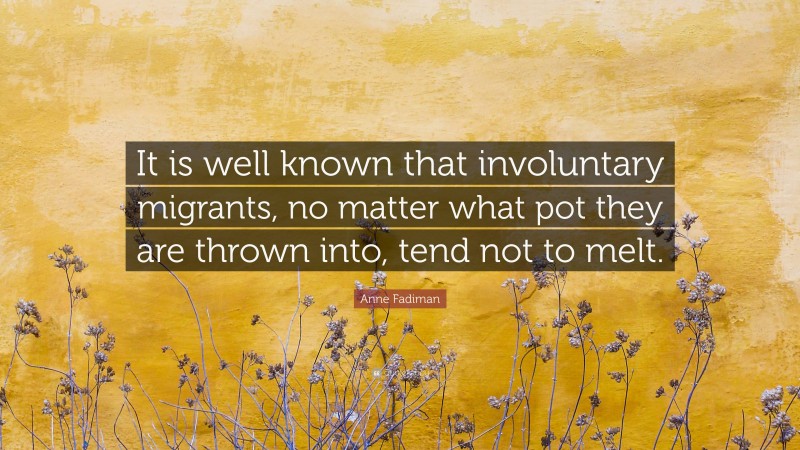 Anne Fadiman Quote: “It is well known that involuntary migrants, no matter what pot they are thrown into, tend not to melt.”