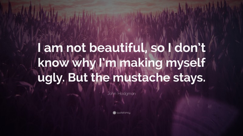 John Hodgman Quote: “I am not beautiful, so I don’t know why I’m making myself ugly. But the mustache stays.”