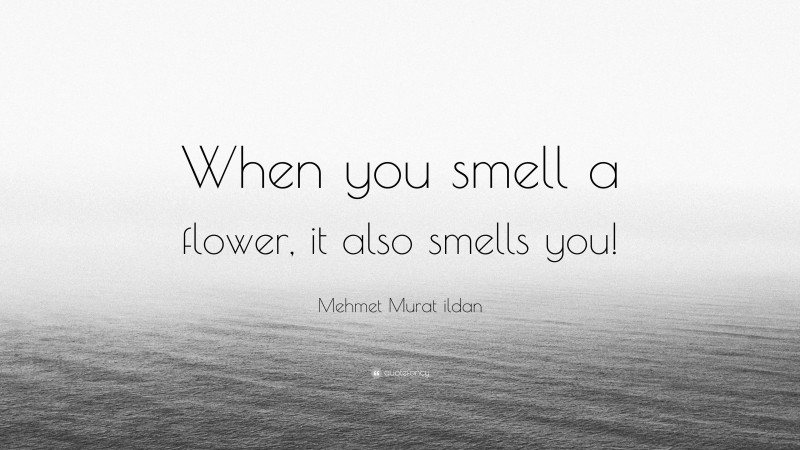Mehmet Murat ildan Quote: “When you smell a flower, it also smells you!”