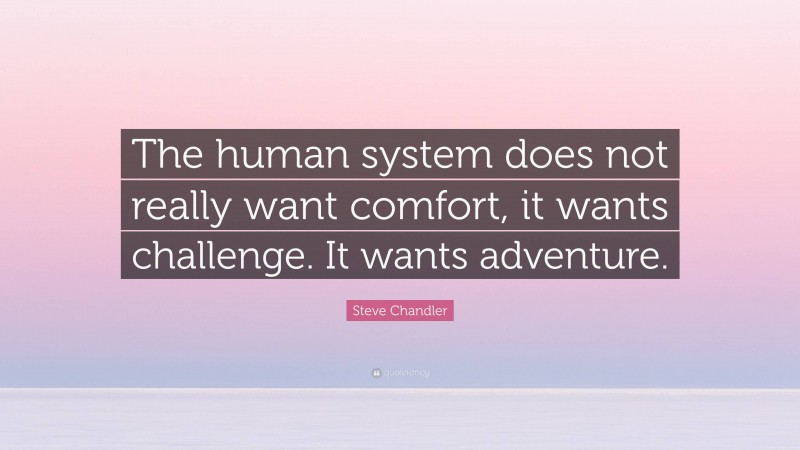 Steve Chandler Quote: “The human system does not really want comfort, it wants challenge. It wants adventure.”