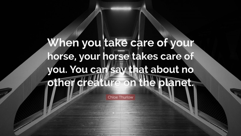 Chloe Thurlow Quote: “When you take care of your horse, your horse takes care of you. You can say that about no other creature on the planet.”