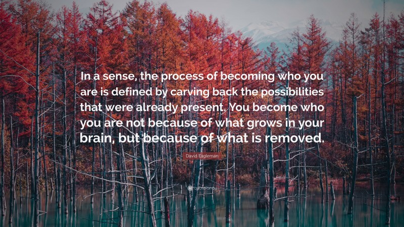 David Eagleman Quote: “In a sense, the process of becoming who you are is defined by carving back the possibilities that were already present. You become who you are not because of what grows in your brain, but because of what is removed.”