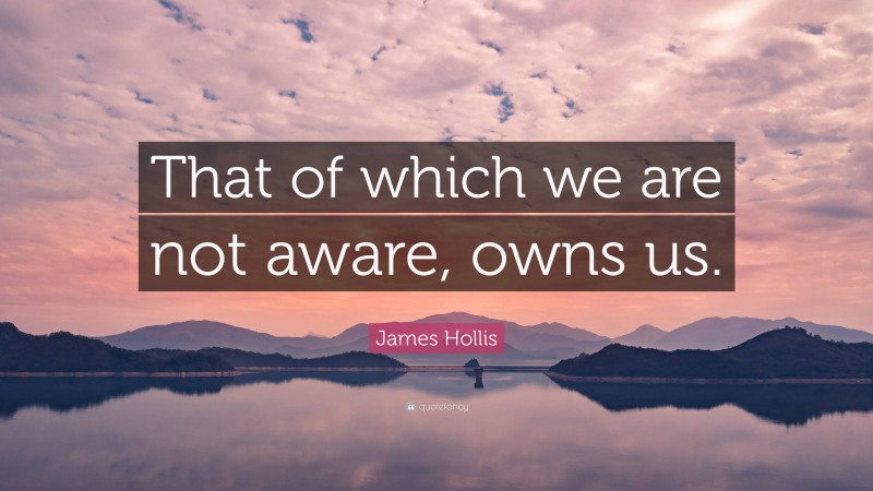 James Hollis Quote: “That of which we are not aware, owns us.”
