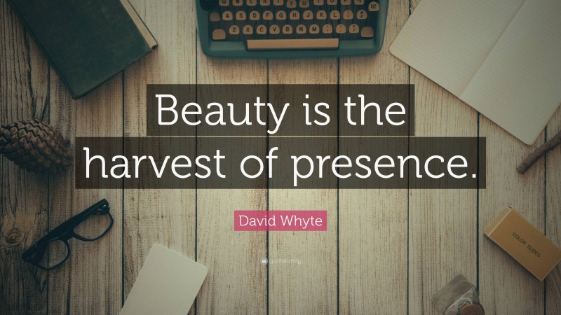 David Whyte Quote: “Beauty is the harvest of presence.”