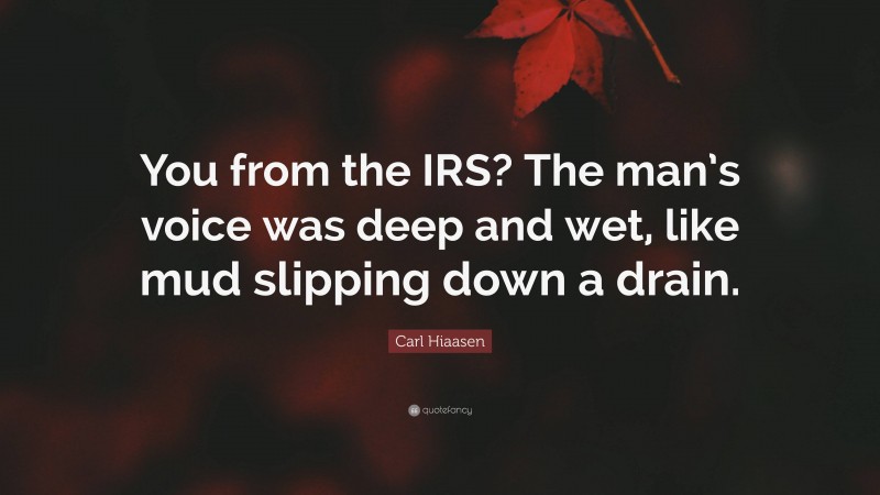 Carl Hiaasen Quote: “You from the IRS? The man’s voice was deep and wet, like mud slipping down a drain.”