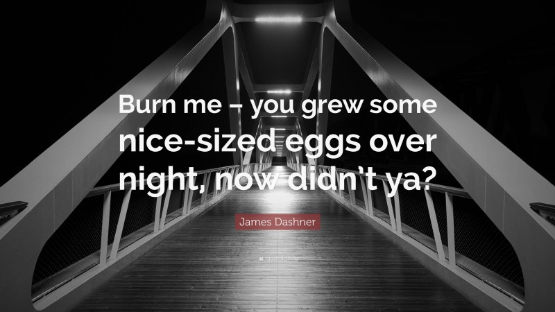 James Dashner Quote: “Burn me – you grew some nice-sized eggs over night, now didn’t ya?”