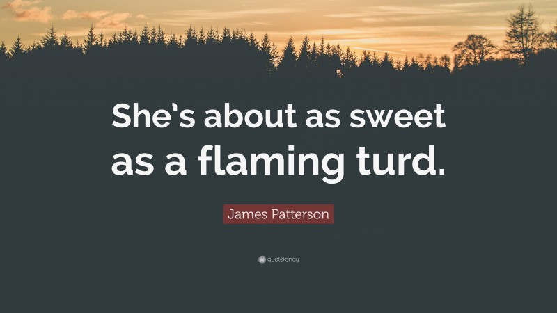 James Patterson Quote: “She’s about as sweet as a flaming turd.”