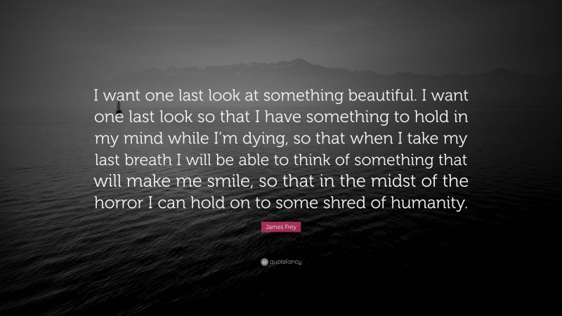 James Frey Quote: “I want one last look at something beautiful. I want one last look so that I have something to hold in my mind while I’m dying, so that when I take my last breath I will be able to think of something that will make me smile, so that in the midst of the horror I can hold on to some shred of humanity.”