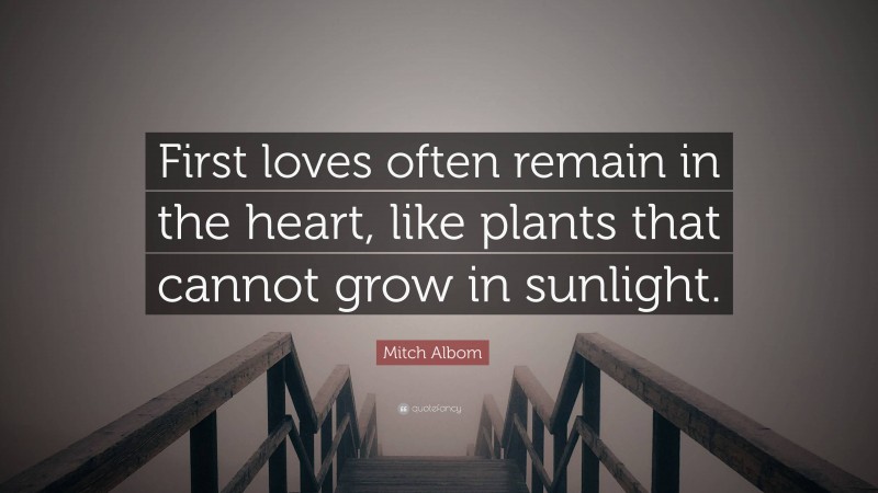 Mitch Albom Quote: “First loves often remain in the heart, like plants that cannot grow in sunlight.”