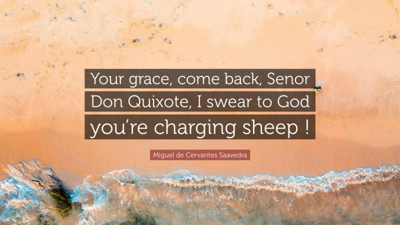 Miguel de Cervantes Saavedra Quote: “Your grace, come back, Senor Don Quixote, I swear to God you’re charging sheep !”