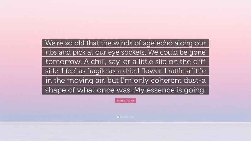 Sheri S. Tepper Quote: “We’re so old that the winds of age echo along our ribs and pick at our eye sockets. We could be gone tomorrow. A chill, say, or a little slip on the cliff side. I feel as fragile as a dried flower. I rattle a little in the moving air, but I’m only coherent dust-a shape of what once was. My essence is going.”