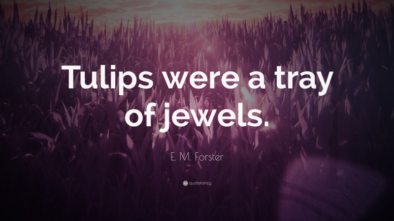 E. M. Forster Quote: “Tulips were a tray of jewels.”