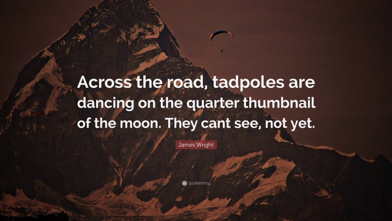 James Wright Quote: “Across the road, tadpoles are dancing on the quarter thumbnail of the moon. They cant see, not yet.”