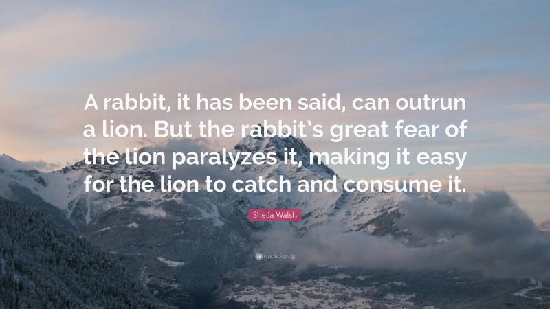 Sheila Walsh Quote: “A rabbit, it has been said, can outrun a lion. But the rabbit’s great fear of the lion paralyzes it, making it easy for the lion to catch and consume it.”