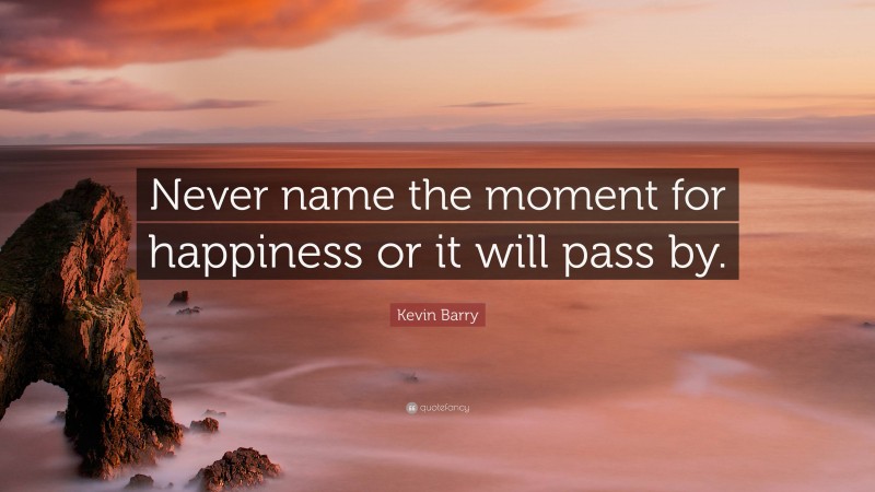 Kevin Barry Quote: “Never name the moment for happiness or it will pass by.”
