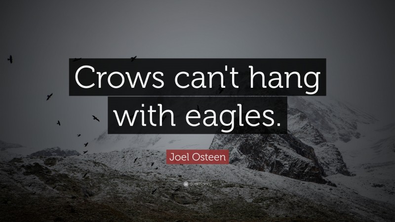 Joel Osteen Quote: “Crows can't hang with eagles.”